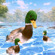 鸭子家庭生活模拟器游戏 1.0.2 安卓版