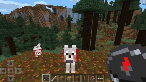 minecraft1.19国际版