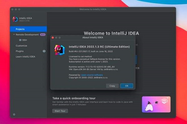 IntelliJ IDEA 2022 Ultimate便携版