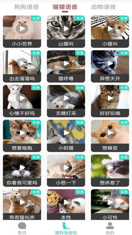 多多猫语狗语