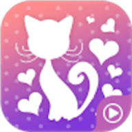 猫小姐直播app