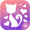 猫小姐直播app 3.6.0 安卓版