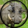 野性狩猎狙击手游戏 1.0.24 安卓版
