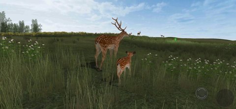 鹿的生活游戏