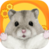 枫叶鼠之谷游戏 1.0.7 安卓版