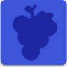 BlueGrape 1.1.3 安卓版