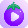 茄子社区 1.0.6 安卓版