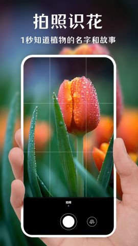 一键拍照识花APP