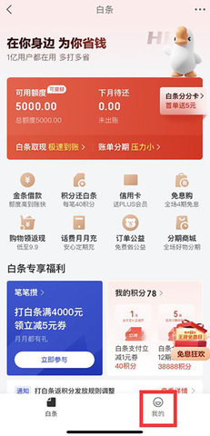 京东白条借款app