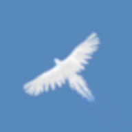 Sky Bird游戏 1.0.2 安卓版