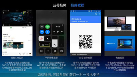 蓝莓投屏