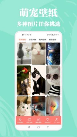猫狗动物交流器软件免费版