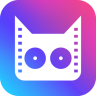 猫狗视频 0.2.1 安卓版