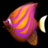 大鱼吃小鱼自制版 1.0 安卓版