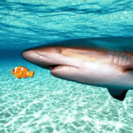 真正的鲨鱼模拟器游戏 1.1 安卓版