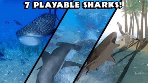 真正的鲨鱼模拟器游戏