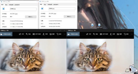 Crimm Imageshop数码图片处理系统