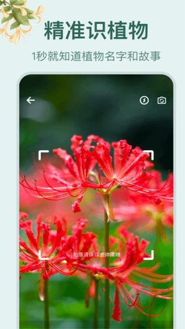 小园丁植物识别app
