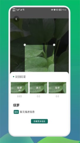 小园丁植物识别app