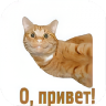 俄语助手 1.1 手机版