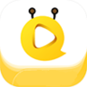 小黄蜂视频直播 3.8.0 安卓版