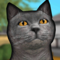 猫舍模拟器游戏3D