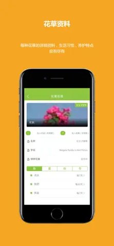 东篱花草app