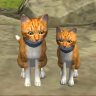可爱小猫模拟器游戏 1.0.3 安卓版