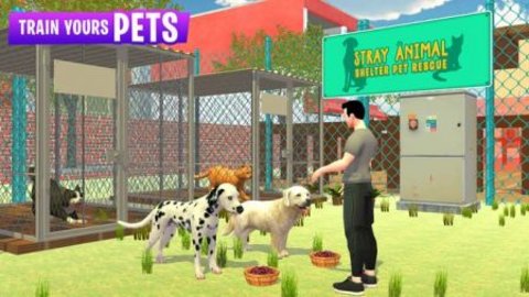 宠物动物收容所游戏