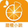 甜橙免费阅读 1.0.12 安卓版