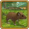 老鼠模拟器游戏 1.31 安卓版