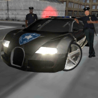 疯狂的司机警察职务游戏