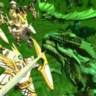 战争模拟器骑士与龙游戏 1.01 安卓版