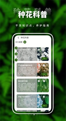 害羞草生活视频