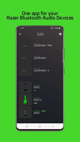 Razer Audio app