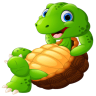 金海龟直播tv 1.8.9 最新版
