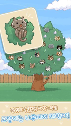 猫猫树游戏