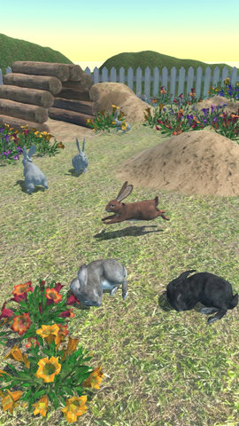 兔子朋友游戏