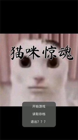 猫猫惊魂正版