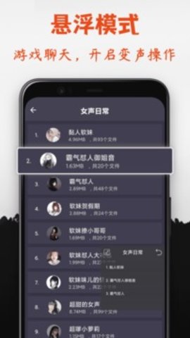 专业变身器软件