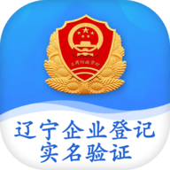辽宁企业登记实名验证app 安卓版