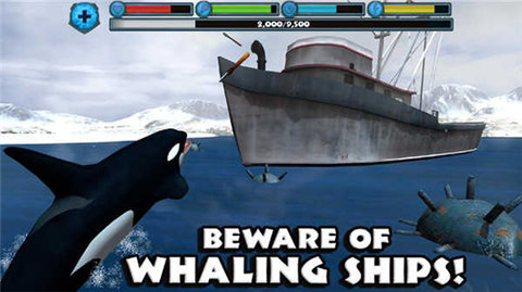 终极虎鲸模拟器游戏