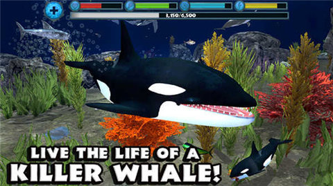 终极虎鲸模拟器游戏