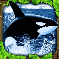 终极虎鲸模拟器游戏 1.0.1 安卓版
