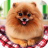 宠物狗生活模拟游戏 2.0.0 安卓版