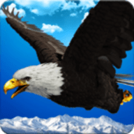 老鹰模拟器2游戏