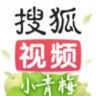 手机搜狐视频 9.8.62 安卓版