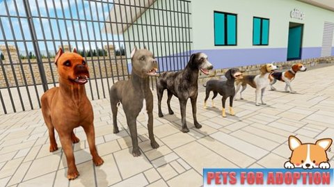 动物庇护所宠物世界游戏