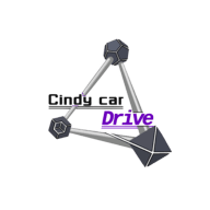 辛迪汽车驾驶中文版 0.3 安卓版