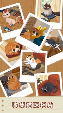 猫咪慵懒的日常游戏